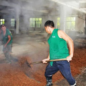 喚醒兩千余條窖池，新的釀酒季由此開(kāi)始