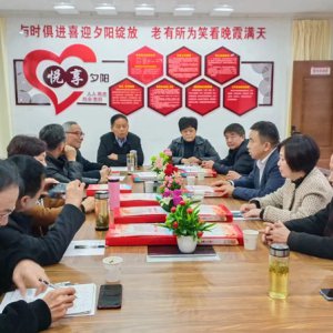 鹿城鎮(zhèn)老年協(xié)會學習宣傳貫徹黨的二十大精神，結(jié)合實際做好自身工作討論會召開