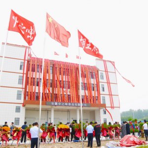 安徽胡王府：預制菜產業(yè)新生力量，助推鄉(xiāng)村振興