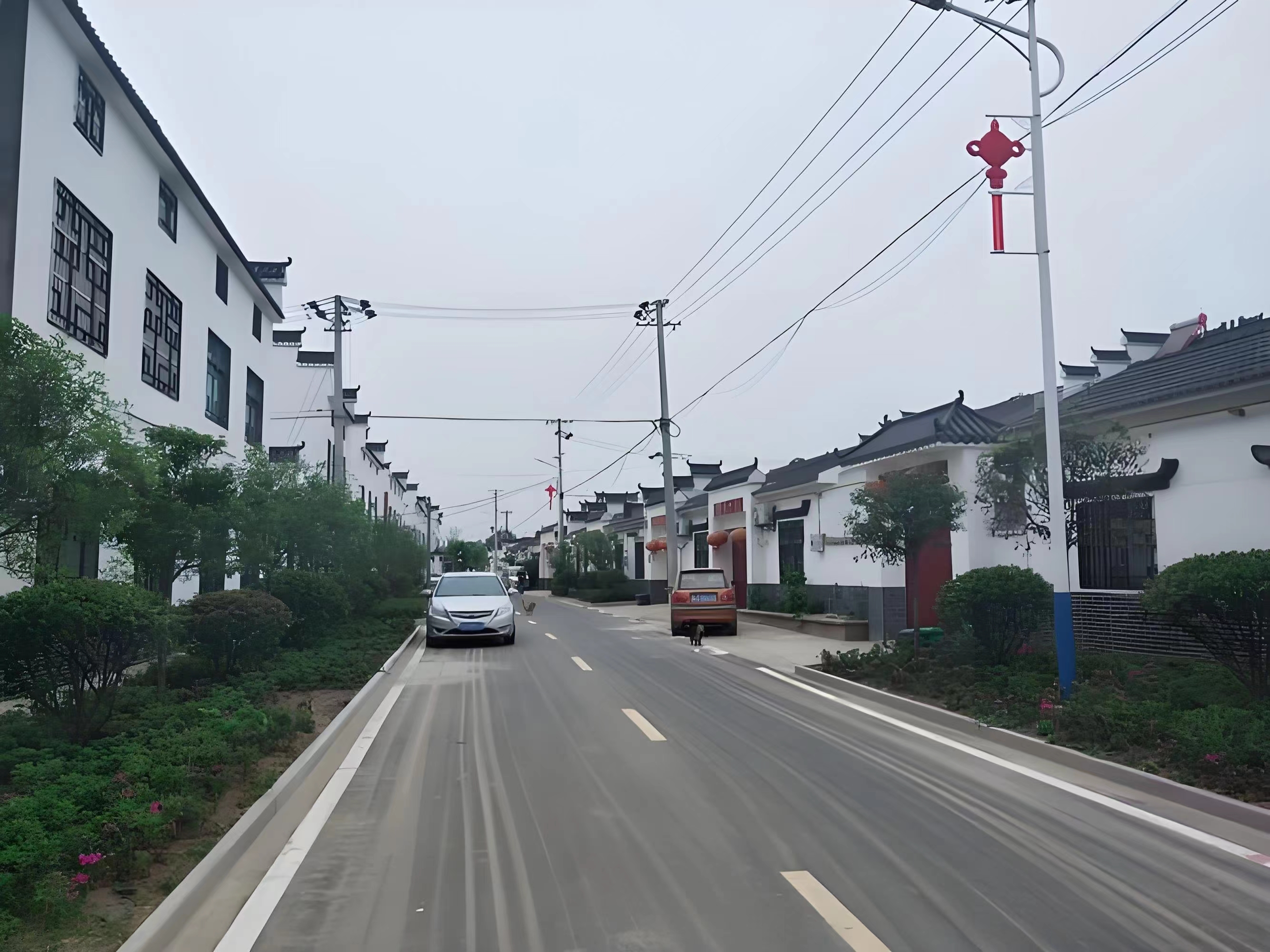 傳承紅色基因，續(xù)寫(xiě)潁上黃壩發(fā)展新篇章